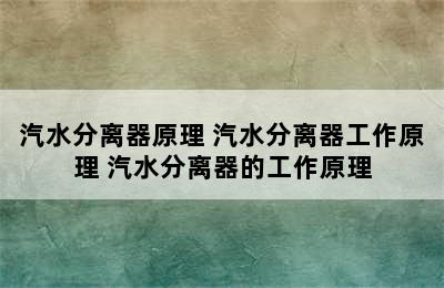 汽水分离器原理 汽水分离器工作原理 汽水分离器的工作原理